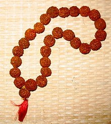 Rudraksha-Tears of Shiva