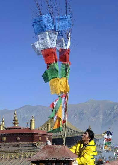 Tibetan Prayer Flag Tree