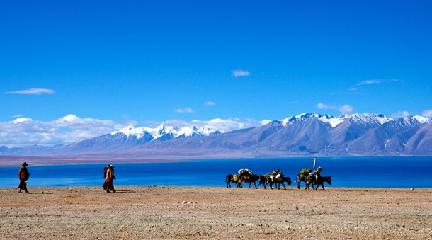 Tibet Kokonor lake tour