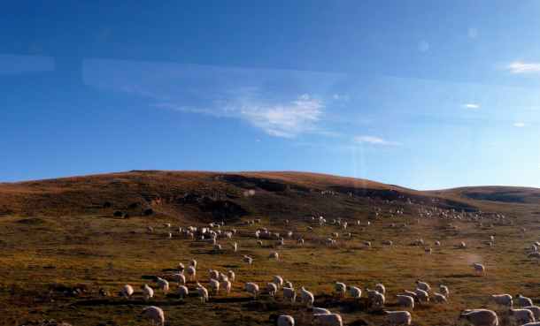 Tibet tour in Ribgong