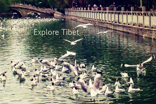 Lukhang, West of Potala Palace