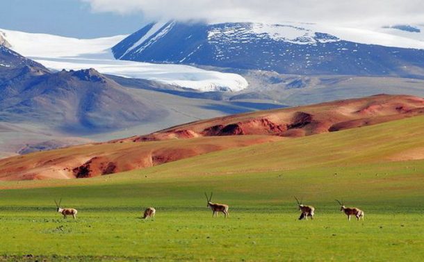 The vast grasslands of Nagchu.