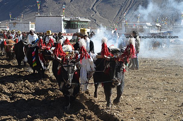 Tibet Winter Tours Give More Insight Into the Tibetan Culture | Explore Tibet