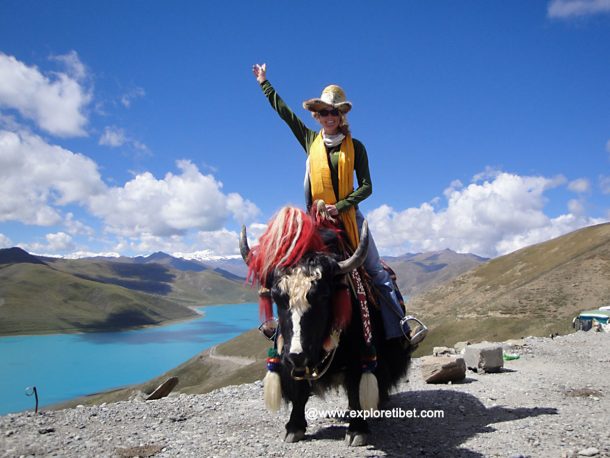 Our clients riding on the Yak at Yamdrok lake