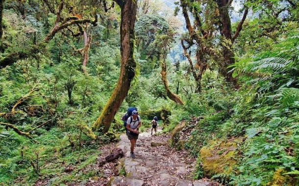 Trekking through the lush green jungles in lower Nepal