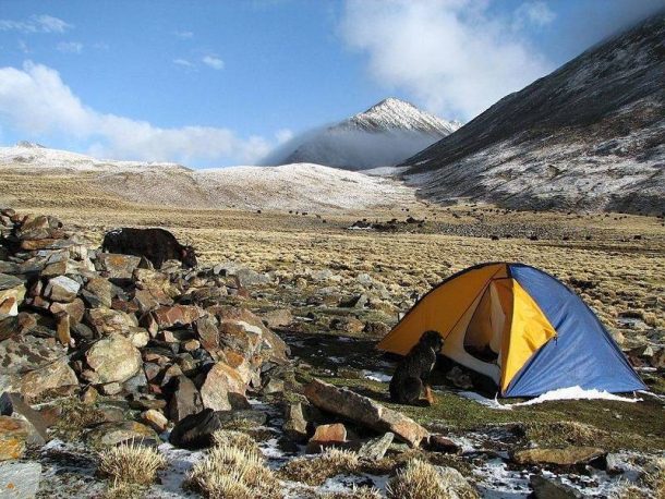 Camping with the Nomads in Tibet