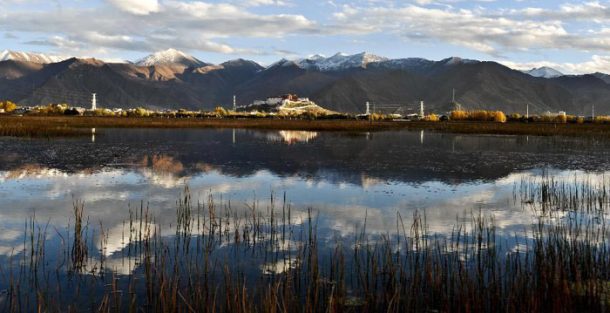 Beautiful landscape of Potala Palace from Lalu wetland in Lhasa