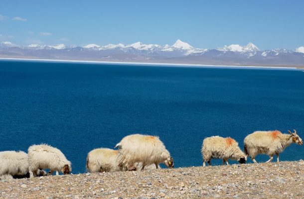 Lake Manasarovar