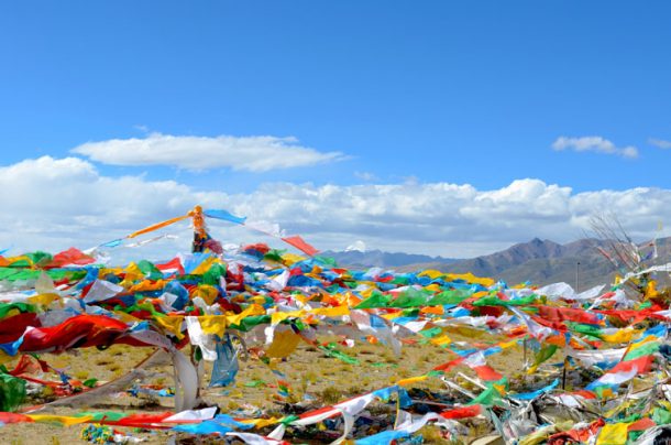 A beautiful summer in Tibet