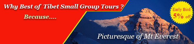 tibet group tours by local Tibetan Tour company
