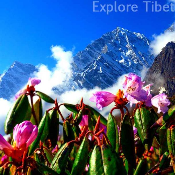 Travel Price Increased - Tibet Travel News Travel Price Increased - Tibet Travel News