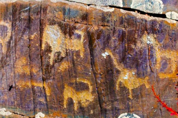 The Ancient Artworks of Western Tibet﻿