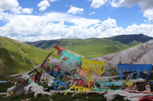 Summer in Tibet – The Peak Season for Tibetan Tourism Summer in Tibet – The Peak Season for Tibetan Tourism