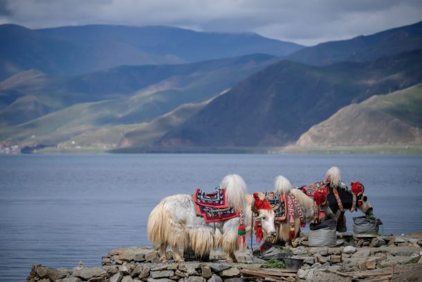 A beautiful landscape of Tibet