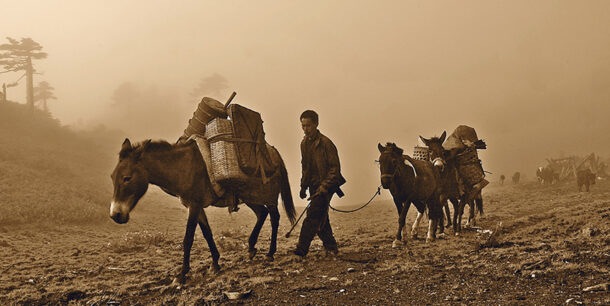 Tibetan Traders traveling through the tea horse road.