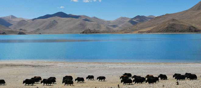 7 Days Yamdrok Lake Camping Tour