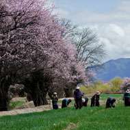 2 Days Eastern Tibet Highlight