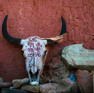 8 Days Tibet Spiritual Tour-Lhasa-Namtso-Reting Monastery-Tibet Travel