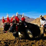 13 Days Chengdu to Lhasa Overland