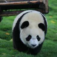 14 Days Sichuan-Tibet Northern and Southern Route Combination