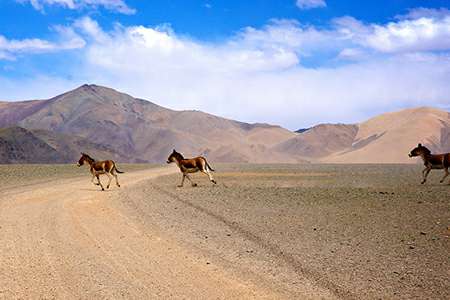 Way to Mt Kailash in Tibet
