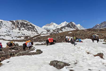 Mt Kailash trekking to Zultul puk