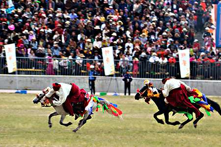 Yushu Horse Racing Festival Tour - Explore Tibet