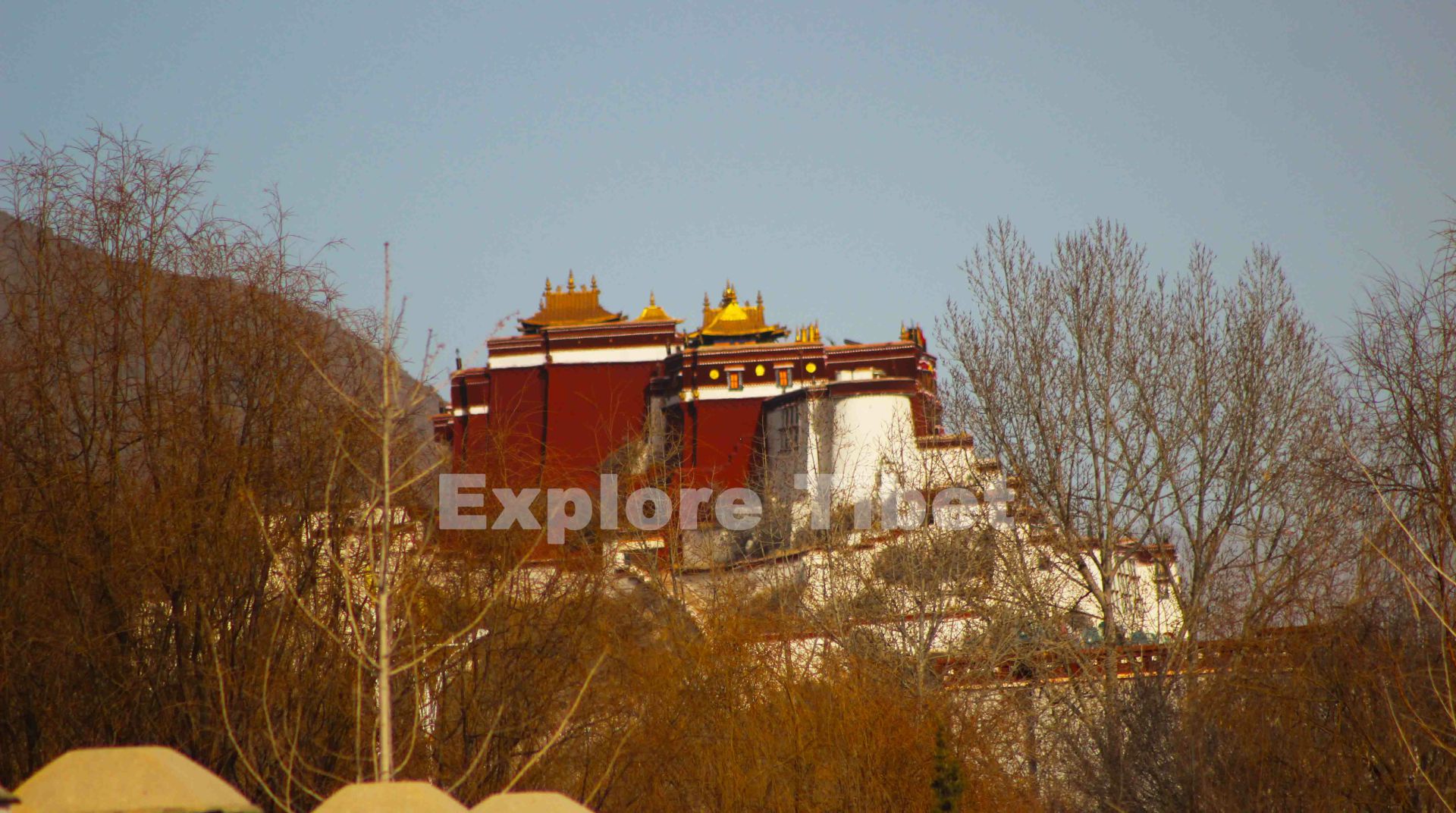 Potala Palace from Norbulingka Palace -Explore Tibet