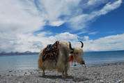 Namtso Lake