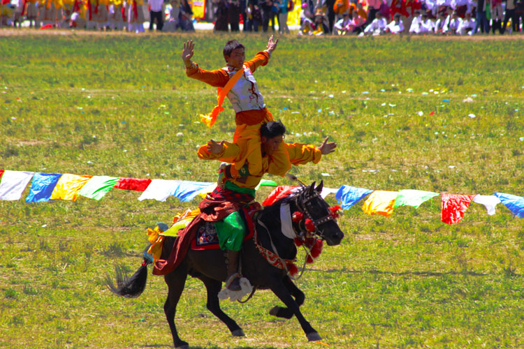 horse stun during the festival