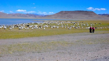 Tibet Plateau in Summer-Explore Tibet