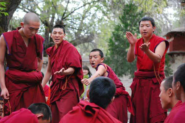 4-monks-debate-at-Sera-mona