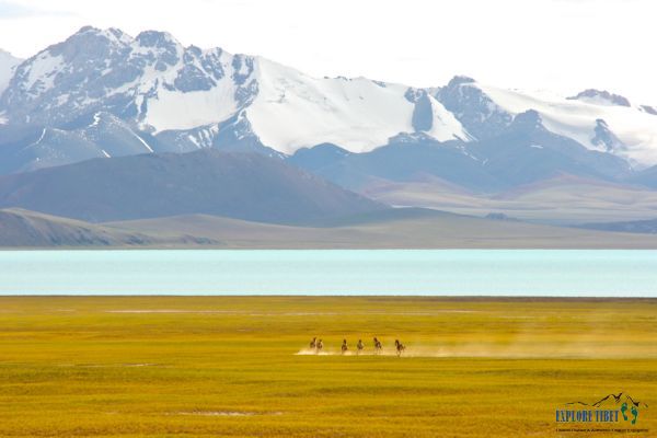 The vast Changtang Grasslands in northern Tibet’s Nagqu Prefecture