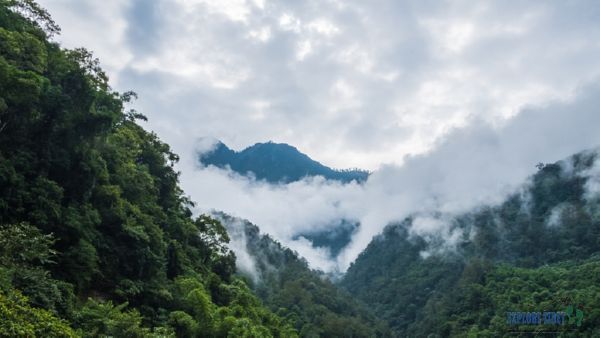 Medog County boasts an environment that could aid in the survival of the tigers